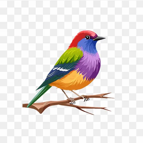 A colorful bird Free PNG Images on transparent background