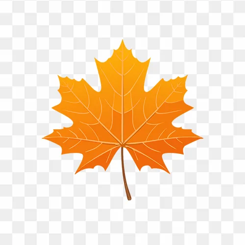 Autumn orange maple leaf free HD PNG Clipart