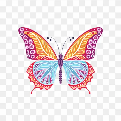 Colourful Butterfly Design Free Transparent PNG