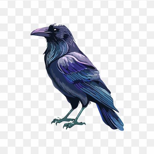 Crow PNG Image with watercolor effect