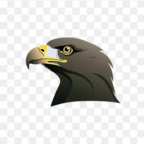 Eagle face download free PNG image