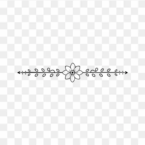 Elegant decorative divider line illustration PNG with transparent background