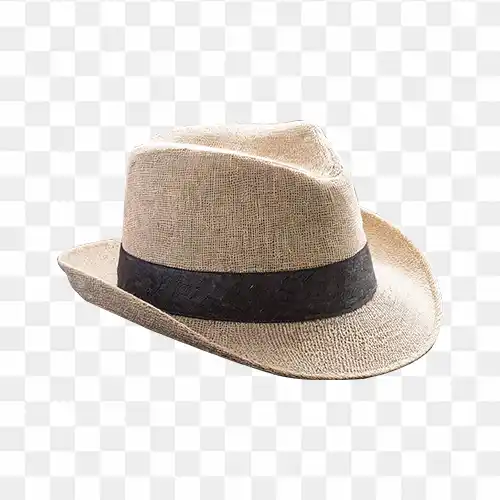 Fedora Straw hat Fashion Knit cap, Hat, ribbon, hat png