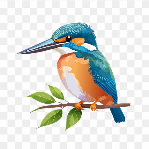 Free Kingfisher bird PNG sitting on branch with transparent background
