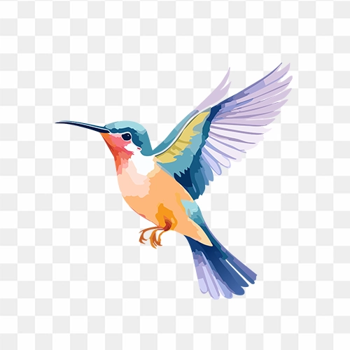 Hand-painted watercolour bird PNG with transparent background