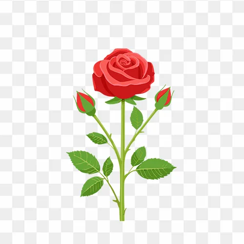 Red rose stem with buds and green leaves isolated in PNG format, free for download