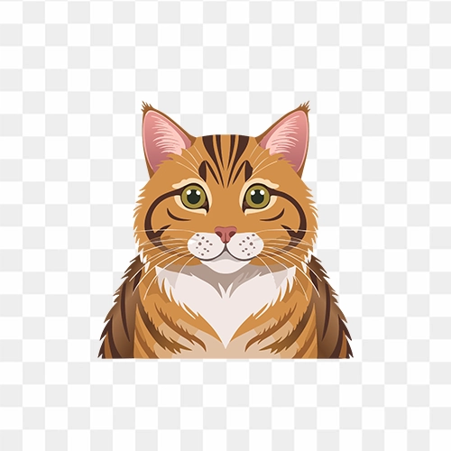 free transparent PNG images of cat clipart