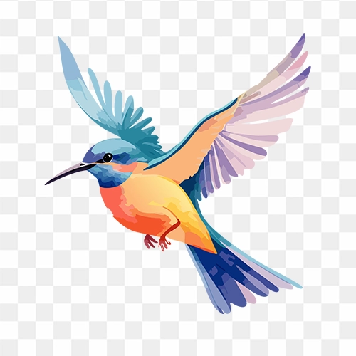 Watercolour bird PNG for design and creative use