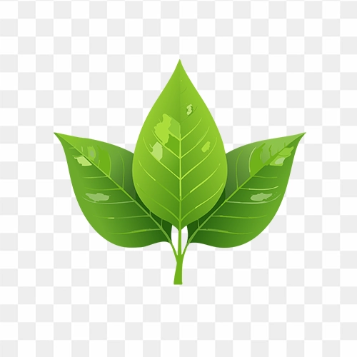 Green Leafs Transparent PNG Image