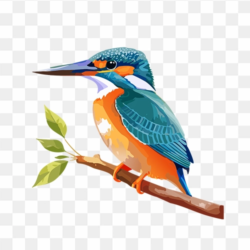 Kingfisher bird sitting on a tree branch PNG image free download