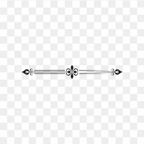 Simple horizontal black divider line with transparent background