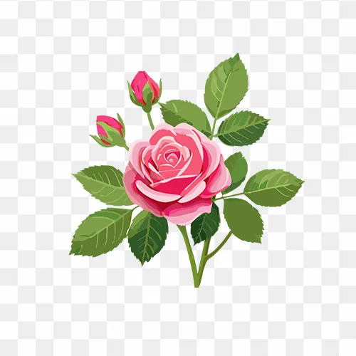 Pink rose with leaves in PNG format, available for free download