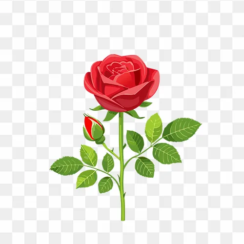 Single red rose stem with buds and green leaves, isolated PNG image for free download