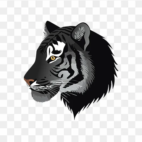 Transparent Tiger Face