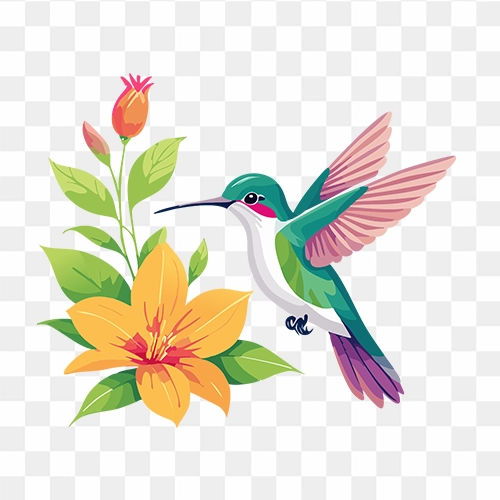 Colorful hummingbird hovering near a blooming flower PNG transparent background