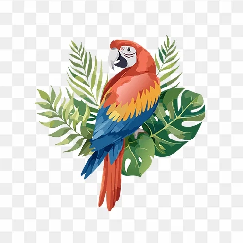Vibrant watercolor macaw parrot clipart in PNG format, free download