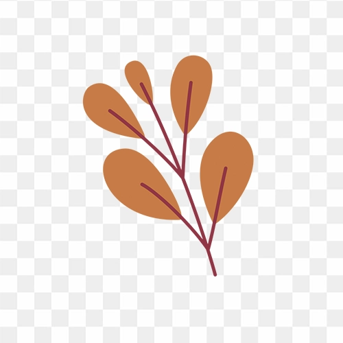 Vector Flower Png Hd