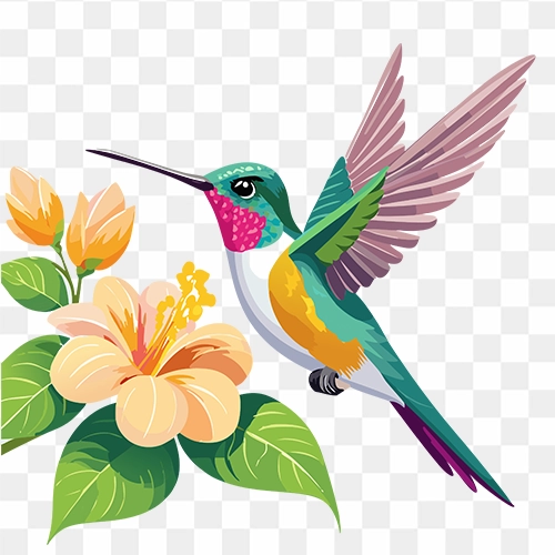 Beautiful vibrant hummingbird with wings spread near flower PNG free download